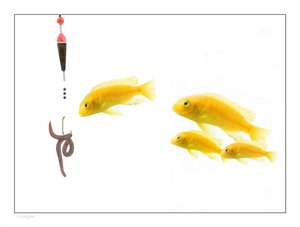 讲给老板听的混合现实价值分析